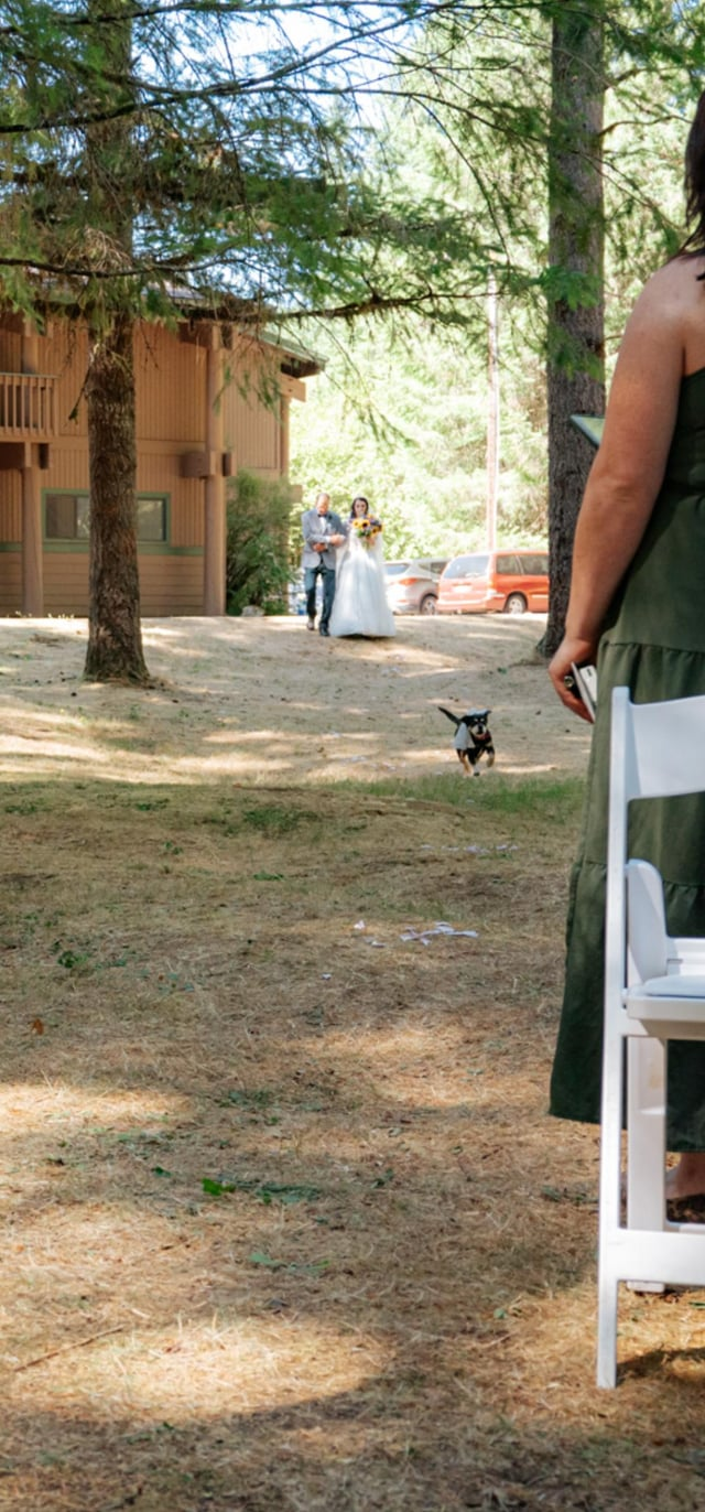 Cheezburger Image 10607584768