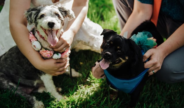 Cheezburger Image 10607585024