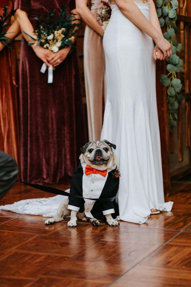 Cheezburger Image 10607585792