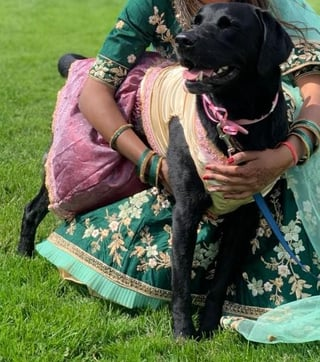 Cheezburger Image 10607586304