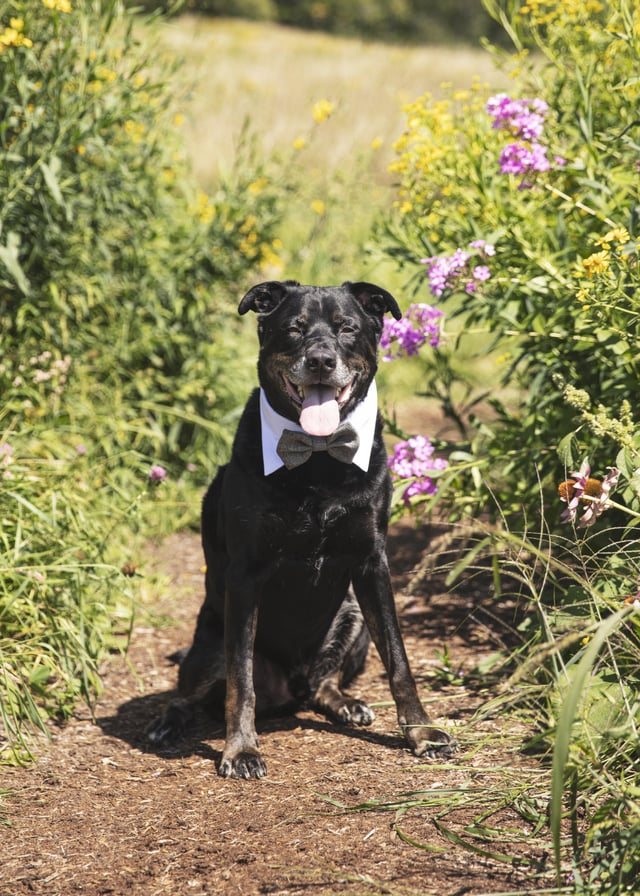 Cheezburger Image 10607587072