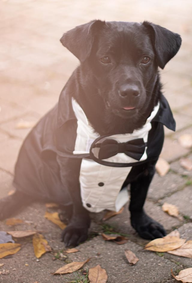 Cheezburger Image 10607587328