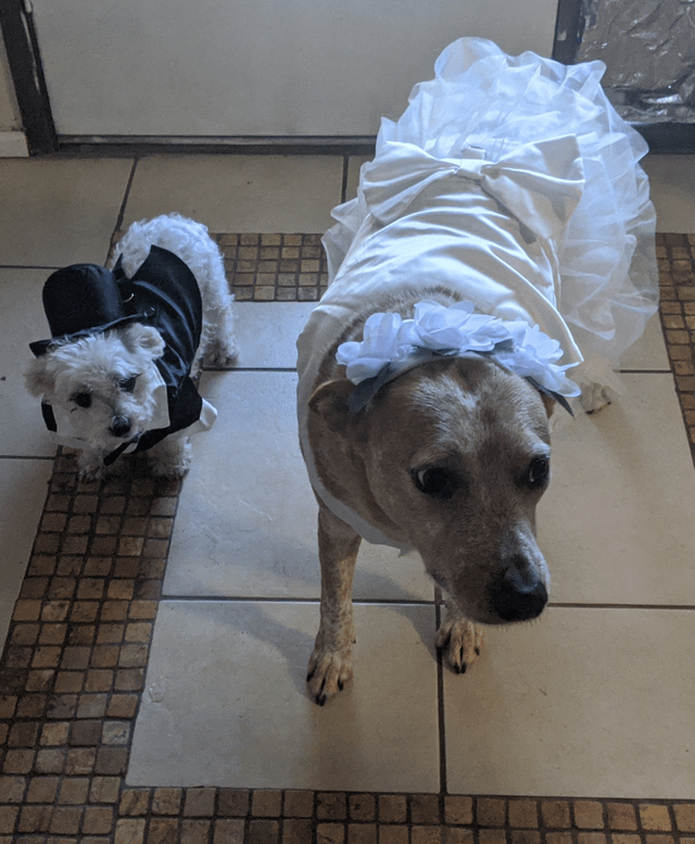 Cheezburger Image 10607587584