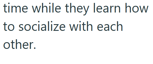 time while they learn how to socialize with each other.