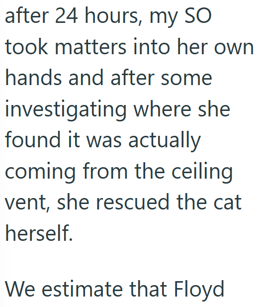 after 24 hours, my SO took matters into her own hands and after some investigating where she found it was actually coming from the ceiling vent, she rescued the cat herself. We estimate that Floyd