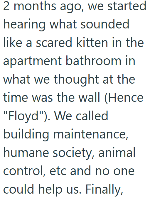2 months ago, we started hearing what sounded like a scared kitten in the apartment bathroom in what we thought at the time was the wall (Hence "Floyd"). We called building maintenance, humane society, animal control, etc and no one could help us. Finally,