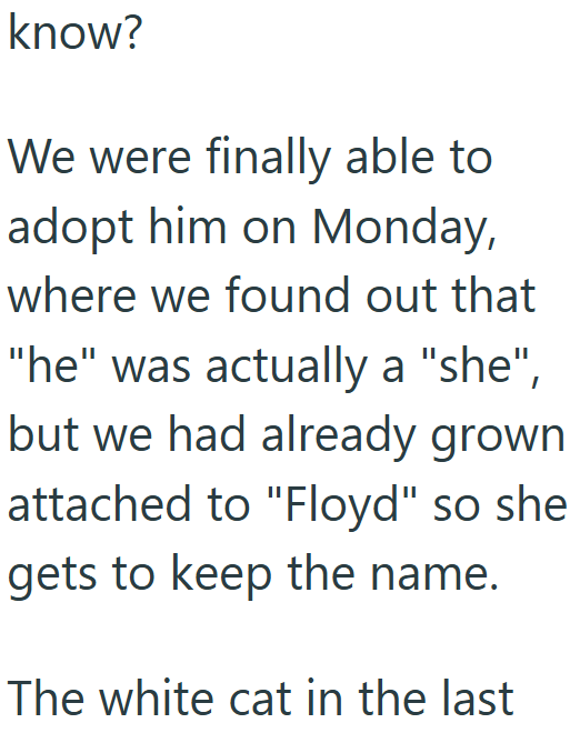 know? We were finally able to adopt him on Monday, where we found out that "he" was actually a "she", but we had already grown attached to "Floyd" so she gets to keep the name. The white cat in the last