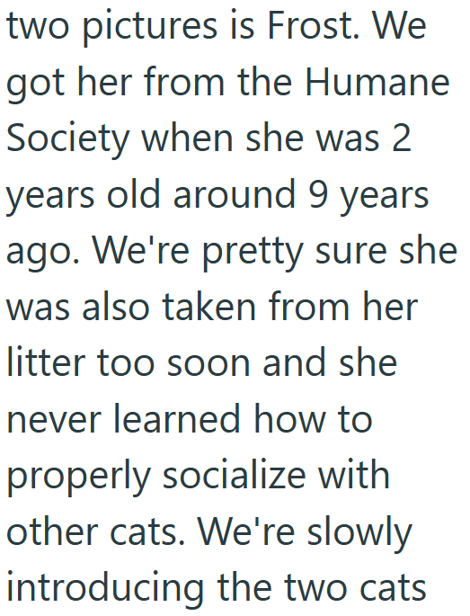 two pictures is Frost. We got her from the Humane. Society when she was 2 years old around 9 years ago. We're pretty sure she was also taken from her litter too soon and she never learned how to properly socialize with other cats. We're slowly introducing the two cats
