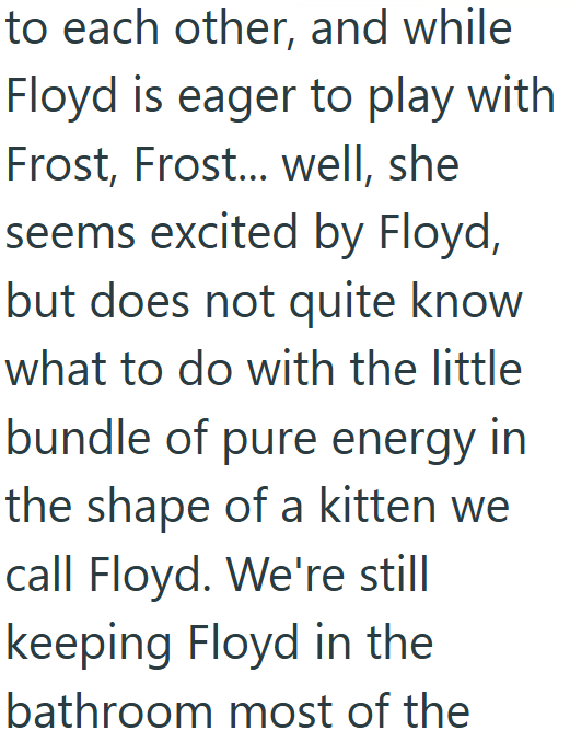 to each other, and while Floyd is eager to play with Frost, Frost... well, she seems excited by Floyd, but does not quite know what to do with the little bundle of pure energy in the shape of a kitten we call Floyd. We're still keeping Floyd in the bathroom most of the