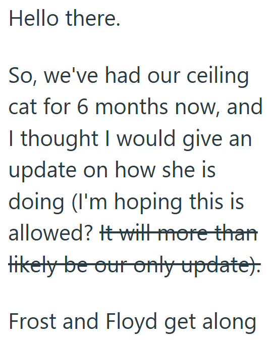 Hello there. So, we've had our ceiling cat for 6 months now, and I thought I would give an update on how she is doing (I'm hoping this is allowed? It will more than likely be our only update). Frost and Floyd get along