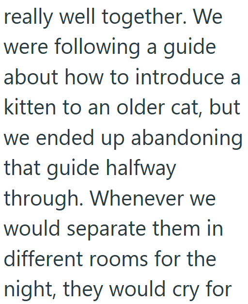 really well together. We were following a guide about how to introduce a kitten to an older cat, but we ended up abandoning that guide halfway through. Whenever we would separate them in different rooms for the night, they would cry for