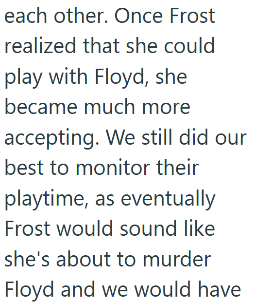 each other. Once Frost realized that she could play with Floyd, she became much more accepting. We still did our best to monitor their playtime, as eventually Frost would sound like she's about to murder Floyd and we would have