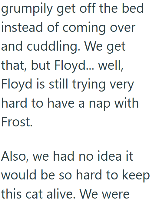 grumpily get off the bed instead of coming over and cuddling. We get that, but Floyd... well, Floyd is still trying very hard to have a nap with Frost. Also, we had no idea it would be so hard to keep this cat alive. We were