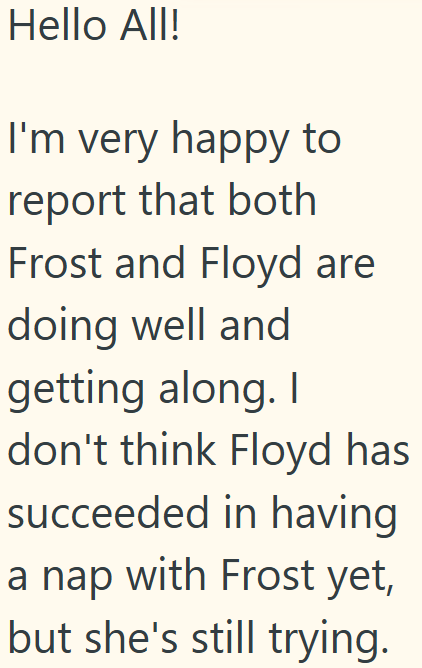 Hello All! I'm very happy to report that both Frost and Floyd are doing well and getting along. I don't think Floyd has succeeded in having a nap with Frost yet, but she's still trying.