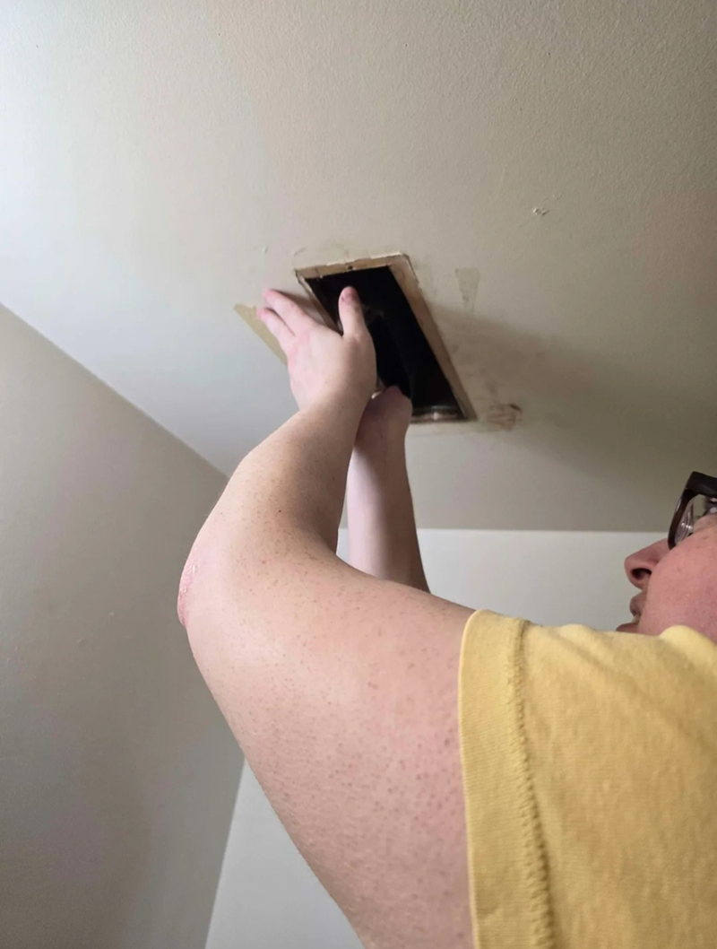 Cheezburger Image 10607604992