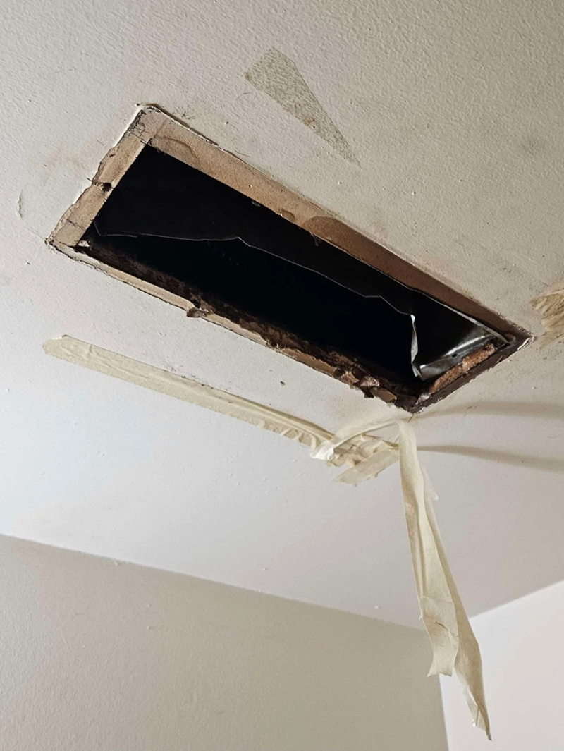 Cheezburger Image 10607605504