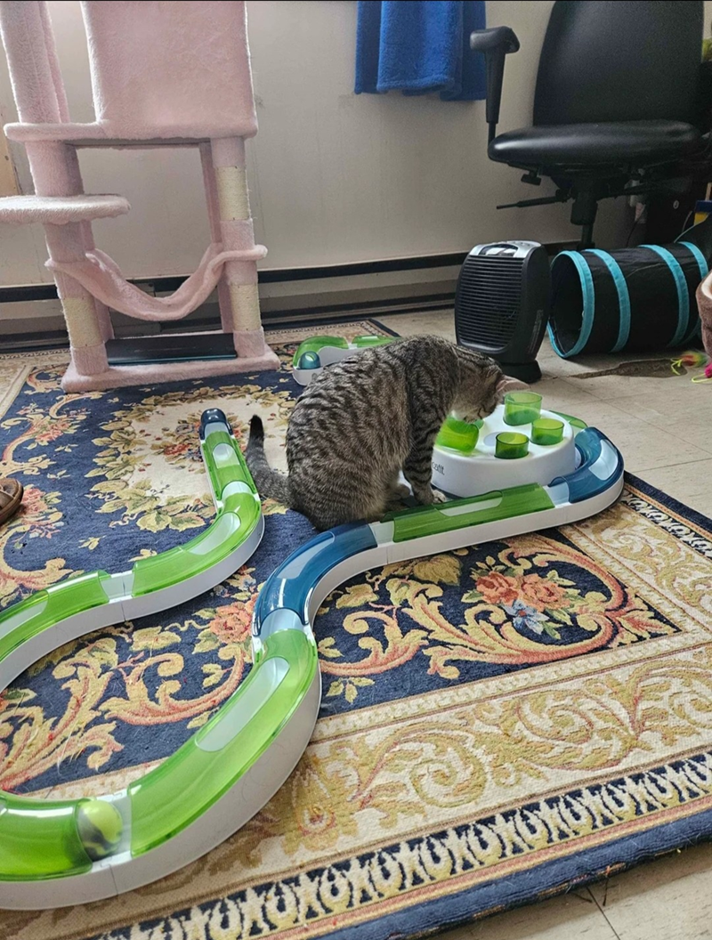 OXOXOXOXOXOXOXOXOXOXO, C