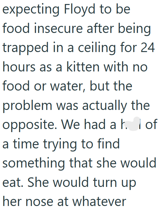 expecting Floyd to be food insecure after being trapped in a ceiling for 24 hours as a kitten with no food or water, but the problem was actually the opposite. We had a þ. I of a time trying to find something that she would eat. She would turn up her nose at whatever