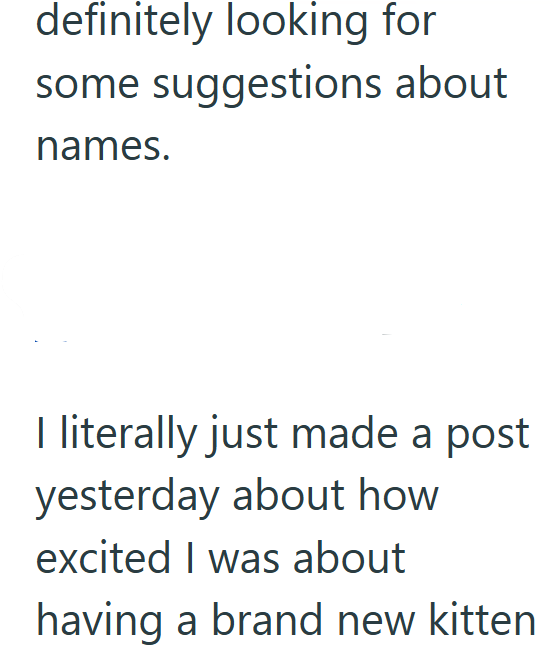 definitely looking for some suggestions about names. I literally just made a post yesterday about how excited I was about having a brand new kitten