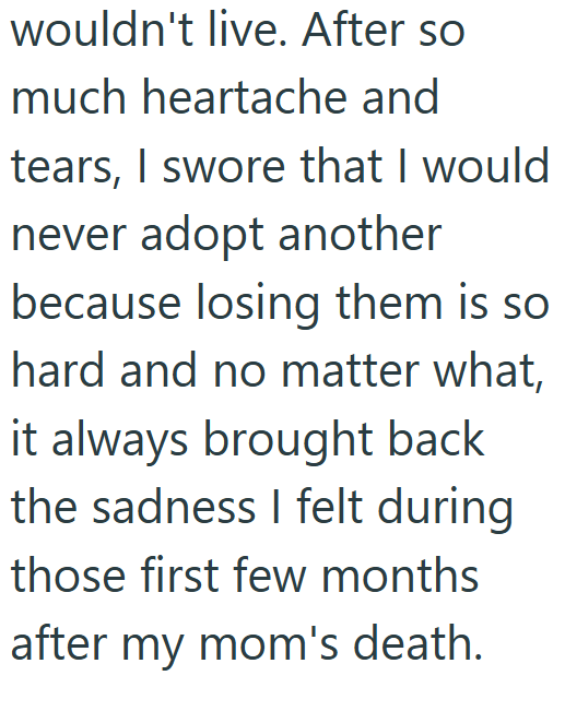 wouldn't live. After so much heartache and tears, I swore that I would never adopt another because losing them is so hard and no matter what, it always brought back the sadness I felt during those first few months after my mom's death.