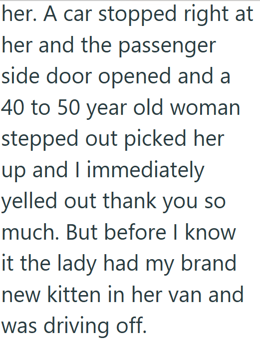her. A car stopped right at her and the passenger side door opened and a 40 to 50 year old woman stepped out picked her up and I immediately yelled out thank you so much. But before I know it the lady had my brand new kitten in her van and was driving off.