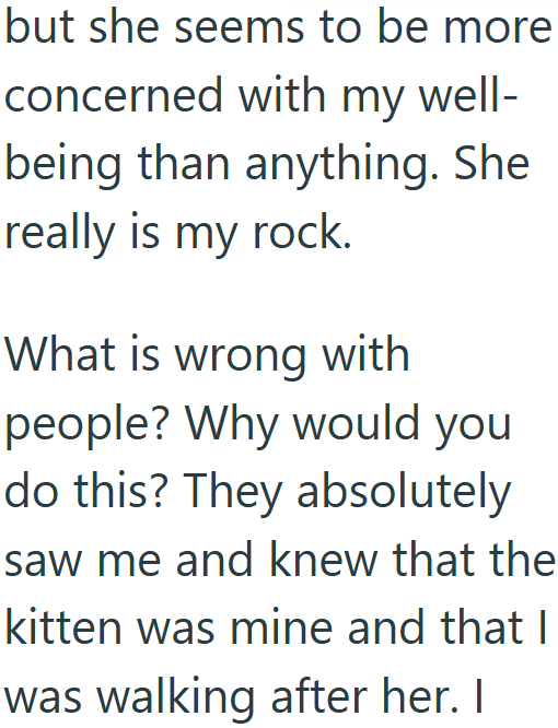 but she seems to be more concerned with my well- being than anything. She really is my rock. What is wrong with people? Why would you do this? They absolutely saw me and knew that the kitten was mine and that I was walking after her. I