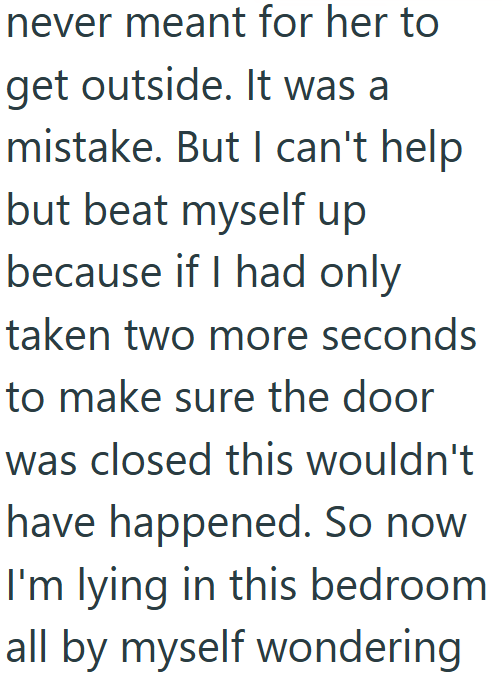 never meant for her to get outside. It was a mistake. But I can't help but beat myself up because if I had only taken two more seconds to make sure the door was closed this wouldn't have happened. So now I'm lying in this bedroom all by myself wondering