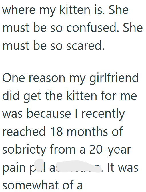 where my kitten is. She must be so confused. She must be so scared. One reason my girlfriend did get the kitten for me was because I recently reached 18 months of sobriety from a 20-year pain pla somewhat of a . It was