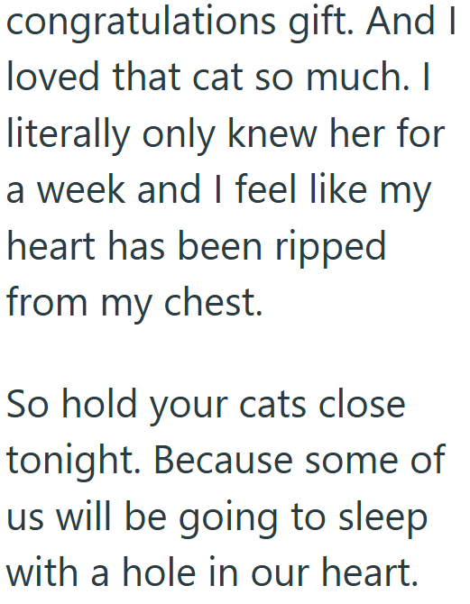 congratulations gift. And I loved that cat so much. I literally only knew her for a week and I feel like my heart has been ripped from my chest. So hold your cats close tonight. Because some of us will be going to sleep with a hole in our heart.