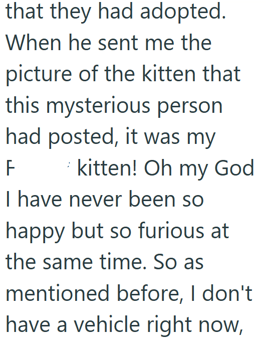 that they had adopted. When he sent me the picture of the kitten that this mysterious person had posted, it was my kitten! Oh my God F I have never been so happy but so furious at the same time. So as mentioned before, I don't. have a vehicle right now,