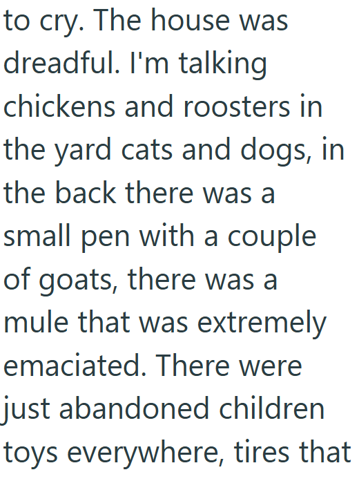 to cry. The house was dreadful. I'm talking chickens and roosters in the yard cats and dogs, in the back there was a small pen with a couple of goats, there was a mule that was extremely emaciated. There were just abandoned children toys everywhere, tires that