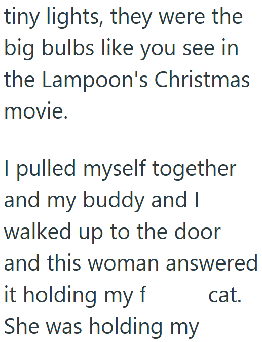 tiny lights, they were the big bulbs like you see in the Lampoon's Christmas movie. I pulled myself together and my buddy and I walked up to the door and this woman answered it holding my f She was holding my cat.