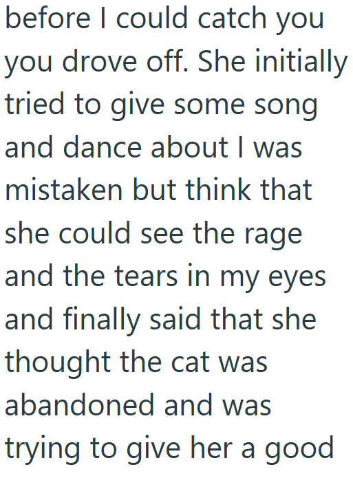 before I could catch you you drove off. She initially tried to give some song and dance about I was mistaken but think that she could see the rage and the tears in my eyes and finally said that she thought the cat was abandoned and was trying to give her a good
