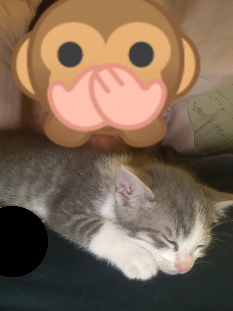 Cheezburger Image 10607630080