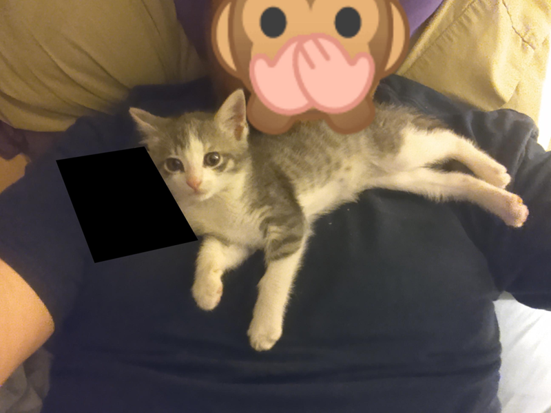 Cheezburger Image 10607630336