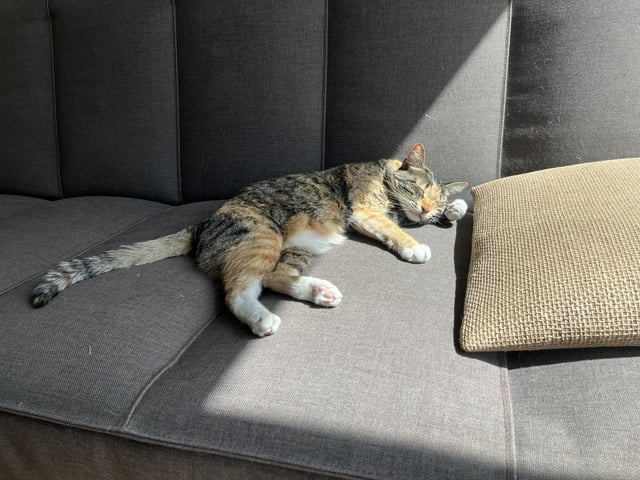 Cheezburger Image 10607631360