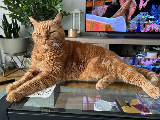 AMSTERD Coal & Oh, my God. Sweetie, we heard y και με μάτια λοπ οι Pot