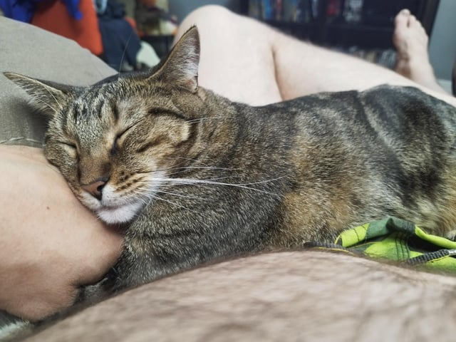 Cheezburger Image 10607633408