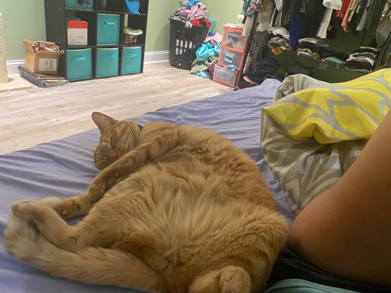 Cheezburger Image 10607633664