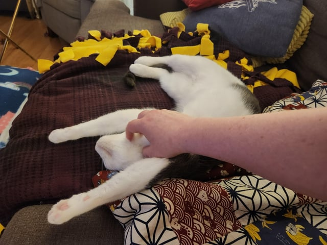 Cheezburger Image 10607637248