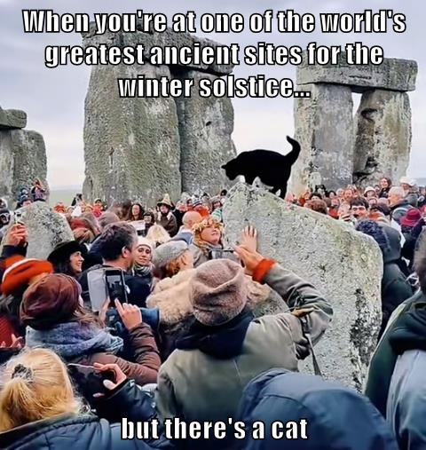 Cheezburger Image 10607790336