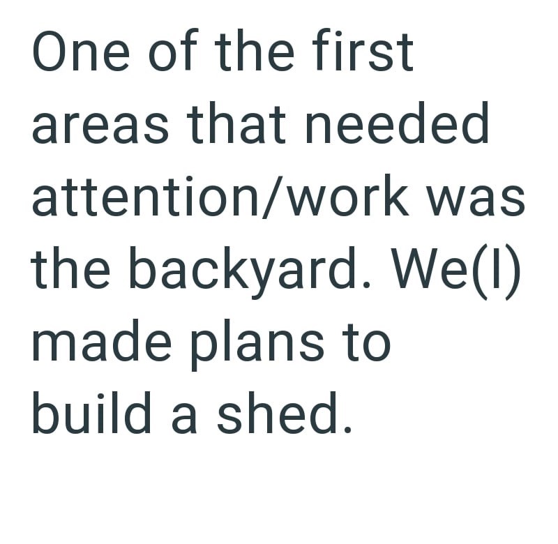 One of the first areas that needed attention/work was the backyard. We(1) made plans to build a shed.
