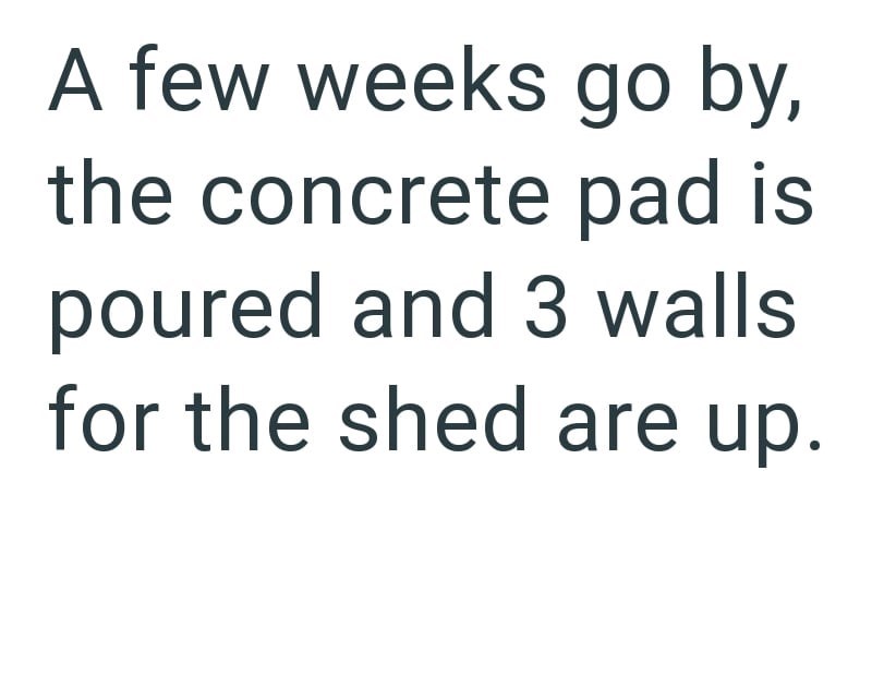 A few weeks go by, the concrete pad is poured and 3 walls for the shed are up.
