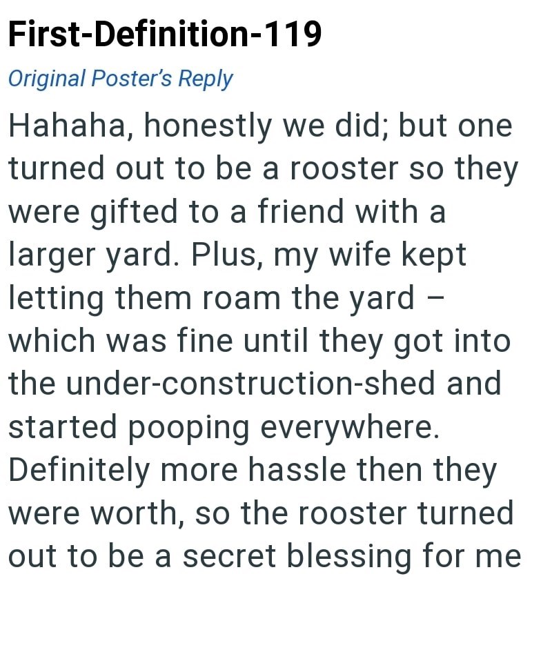 First-Definition-119 Original Poster's Reply Hahaha, honestly we did; but one turned out to be a rooster so they were gifted to a friend with a larger yard. Plus, my wife kept letting them roam the yard which was fine until they got into the under-construction-shed and started pooping everywhere. Definitely more hassle then they were worth, so the rooster turned out to be a secret blessing for me