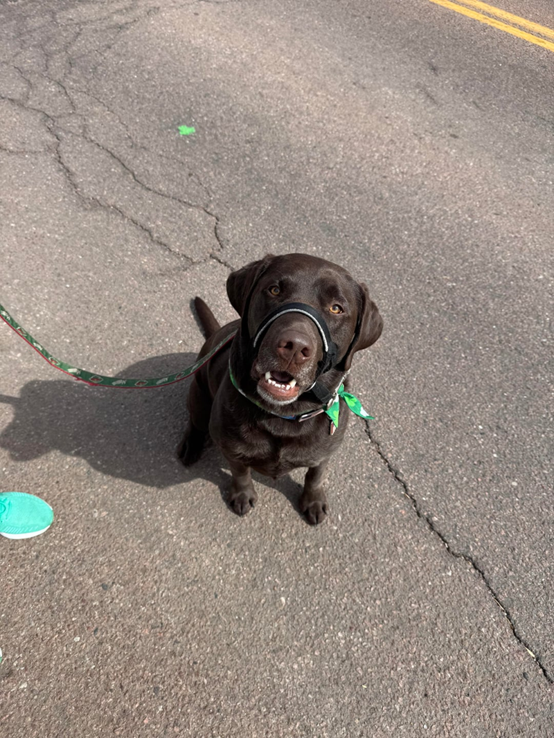 Cheezburger Image 10607991040