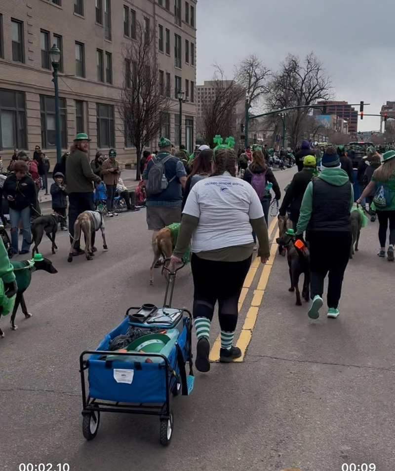 COLORADO ON YOUNG ADOPTIO 00:02.10 00:09