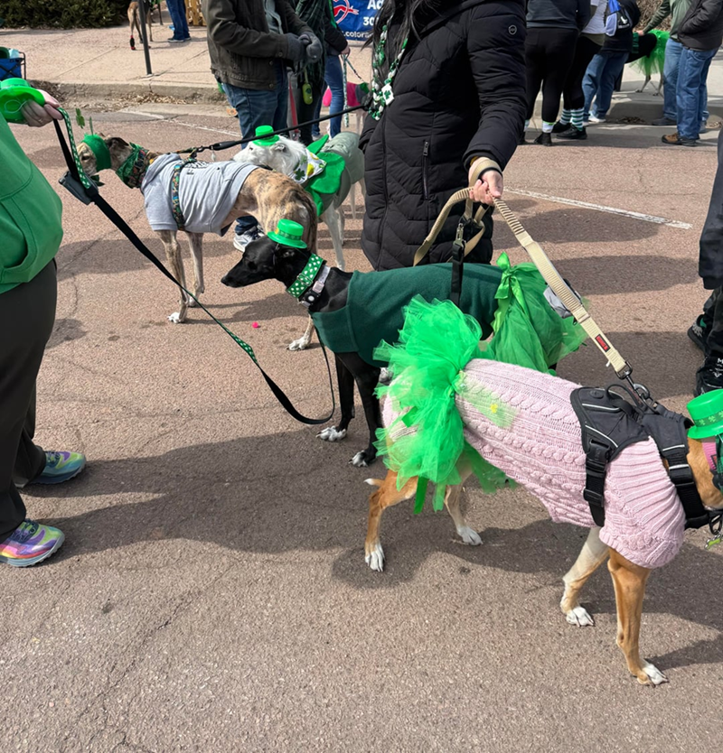 Cheezburger Image 10607991552