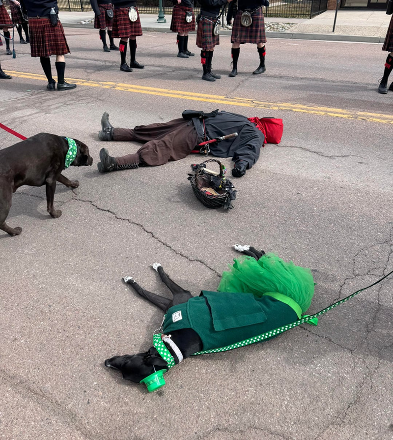 Cheezburger Image 10607991808