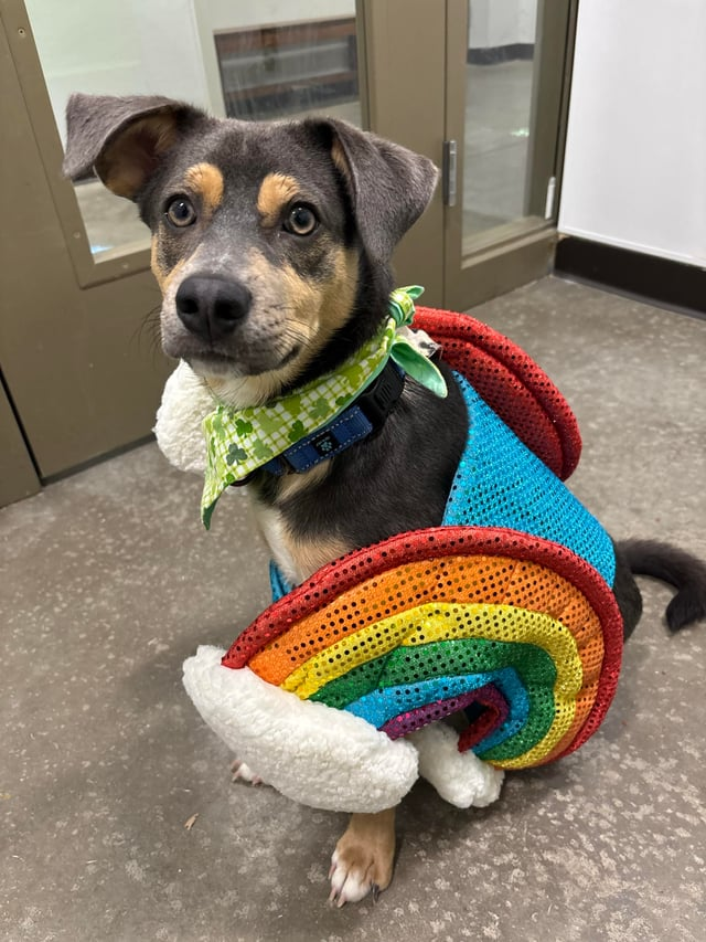 Cheezburger Image 10607992320