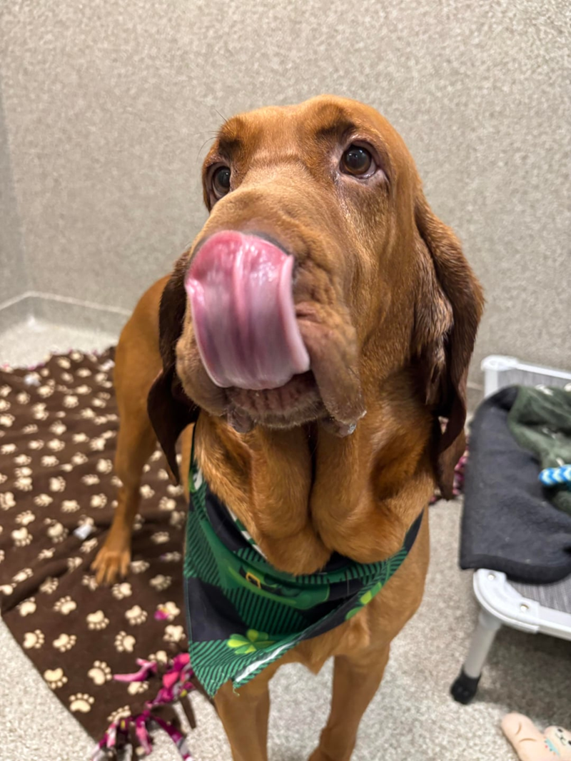 Cheezburger Image 10607993344